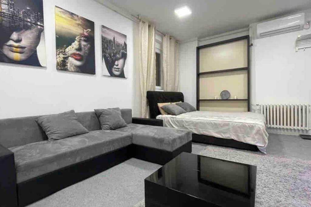 Апартаменти Dorcol Lux Studio Белград Екстер'єр фото